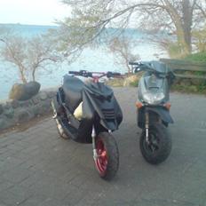 Beta Ark lc (byttet)