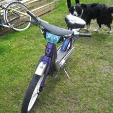 Piaggio caio byttet
