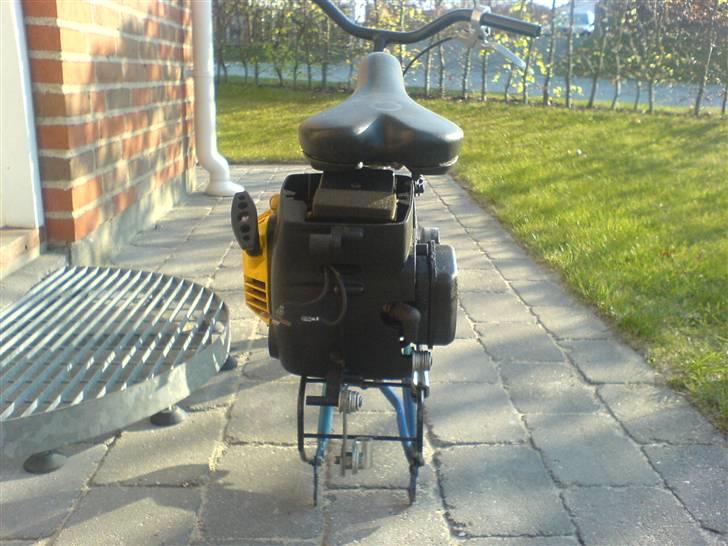 Adly                           billede 9