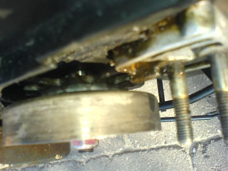 Adly                           billede 11