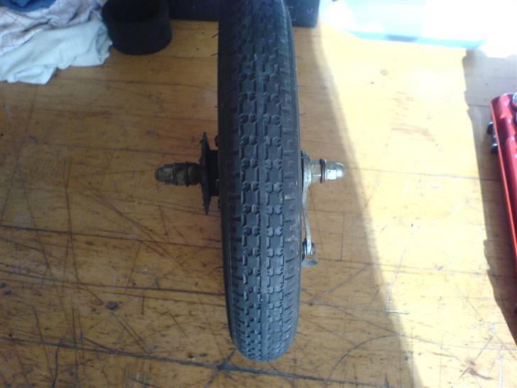 Adly                           billede 15