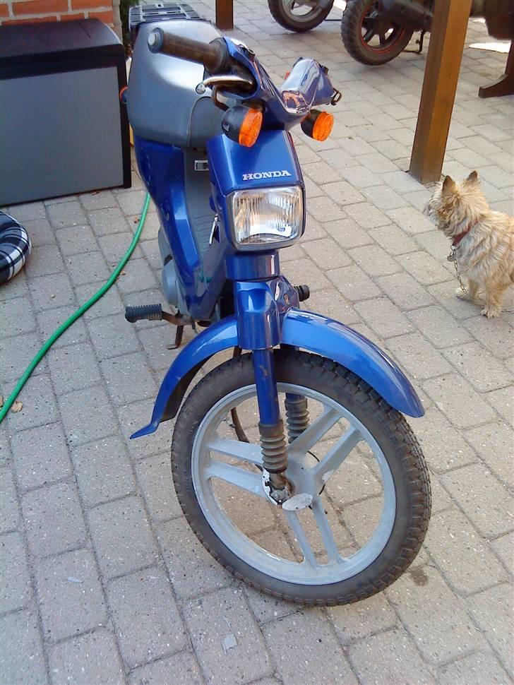 Honda Wallaro billede 1