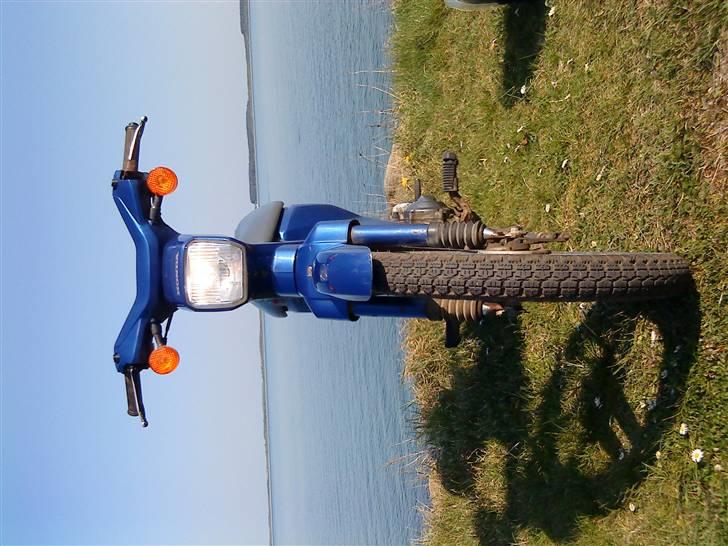 Honda Wallaro billede 2