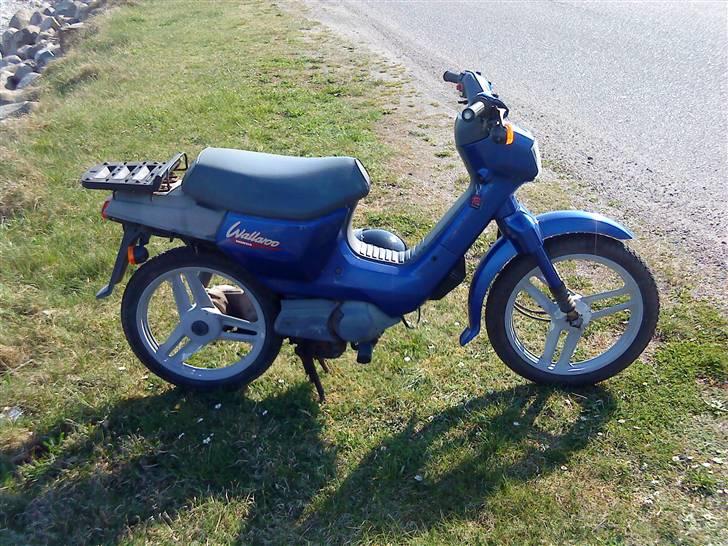 Honda Wallaro billede 3