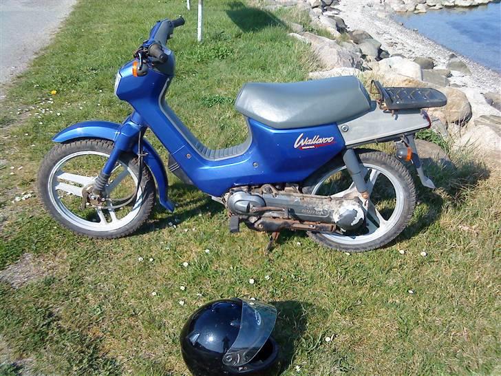 Honda Wallaro billede 4