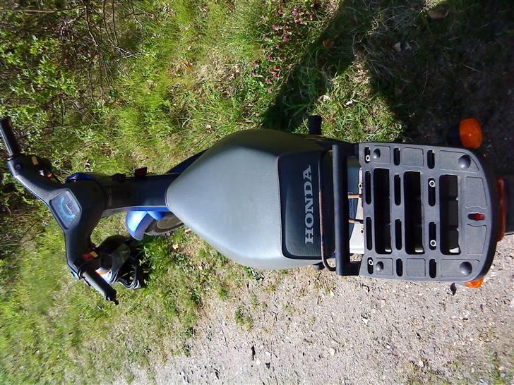 Honda Wallaro billede 5