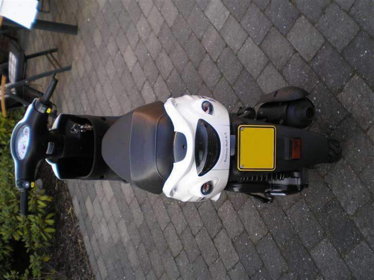 PGO White Magic SOLGT! billede 17