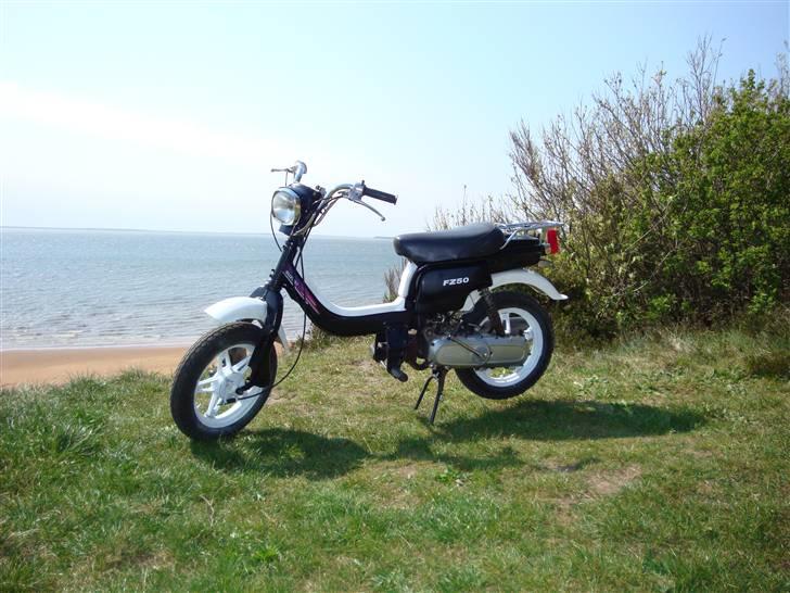 Suzuki Fz 50 (solgt) billede 1
