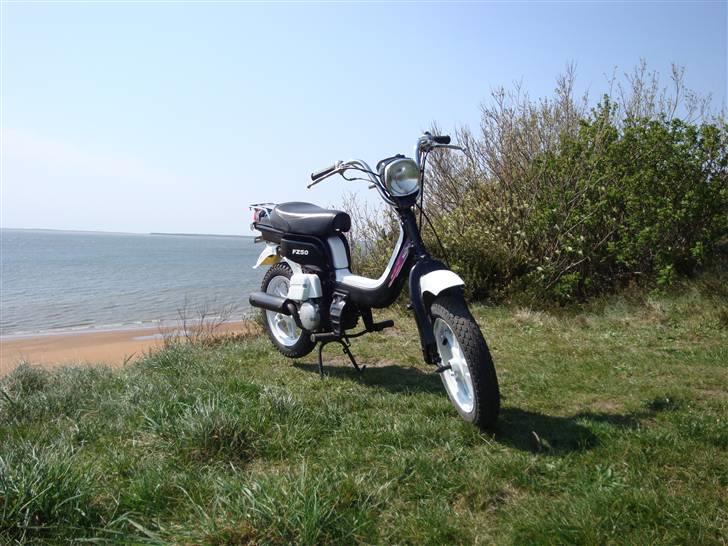 Suzuki Fz 50 (solgt) billede 2