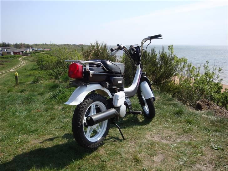 Suzuki Fz 50 (solgt) billede 4