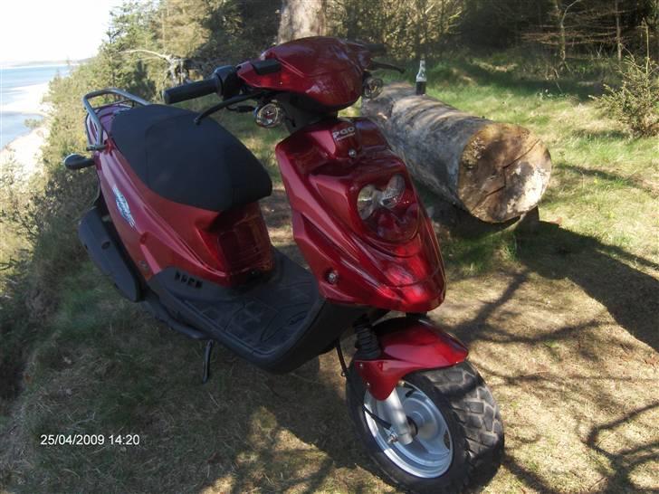 PGO Hot 50 billede 5