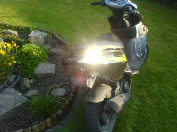 PGO dr. big billede 1