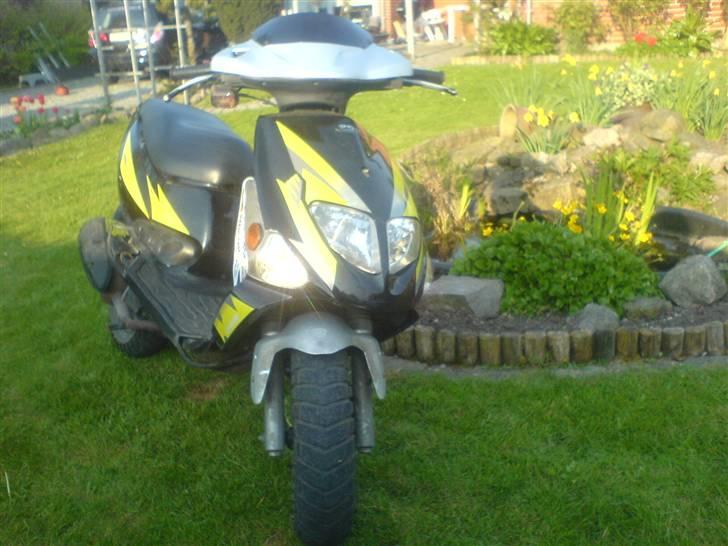 PGO dr. big billede 3