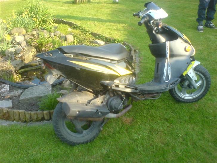 PGO dr. big billede 4