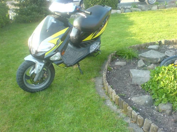 PGO dr. big billede 5