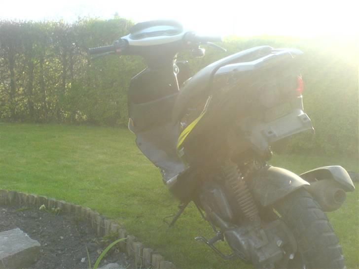 PGO dr. big billede 6