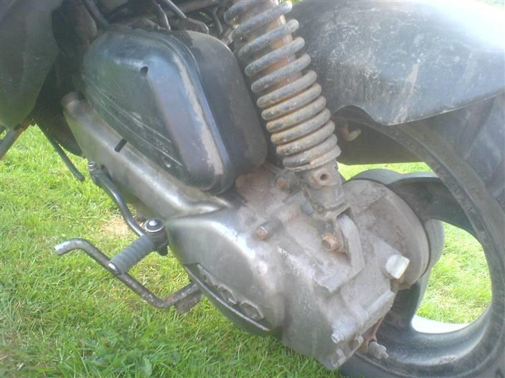 PGO dr. big billede 8