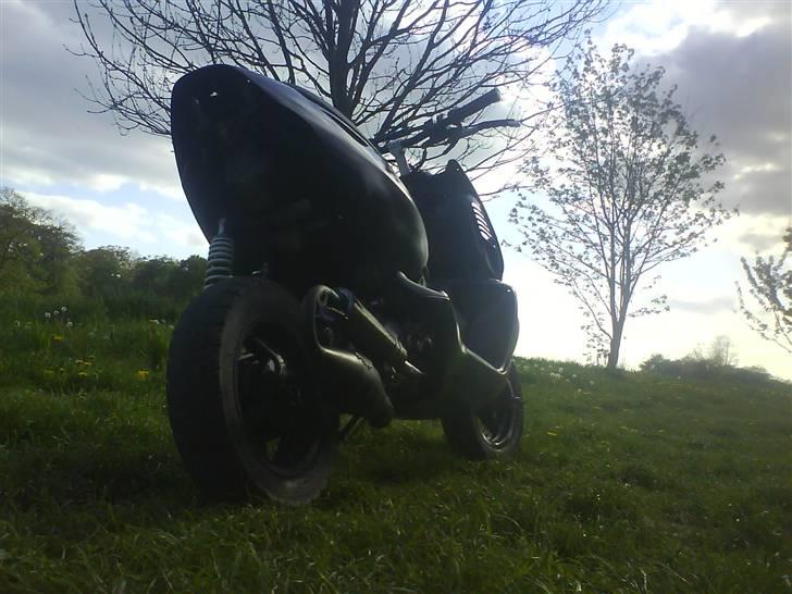 Aprilia Sonic'JogR' Ts (solgt) billede 6