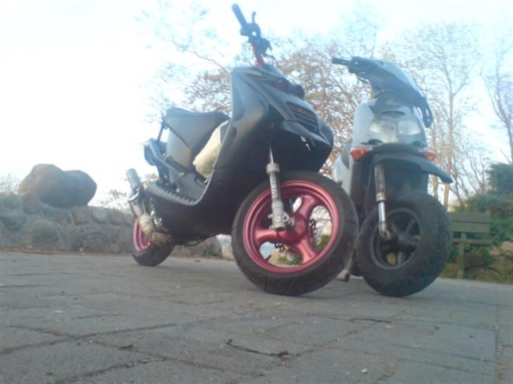 Beta Ark lc (byttet) billede 5