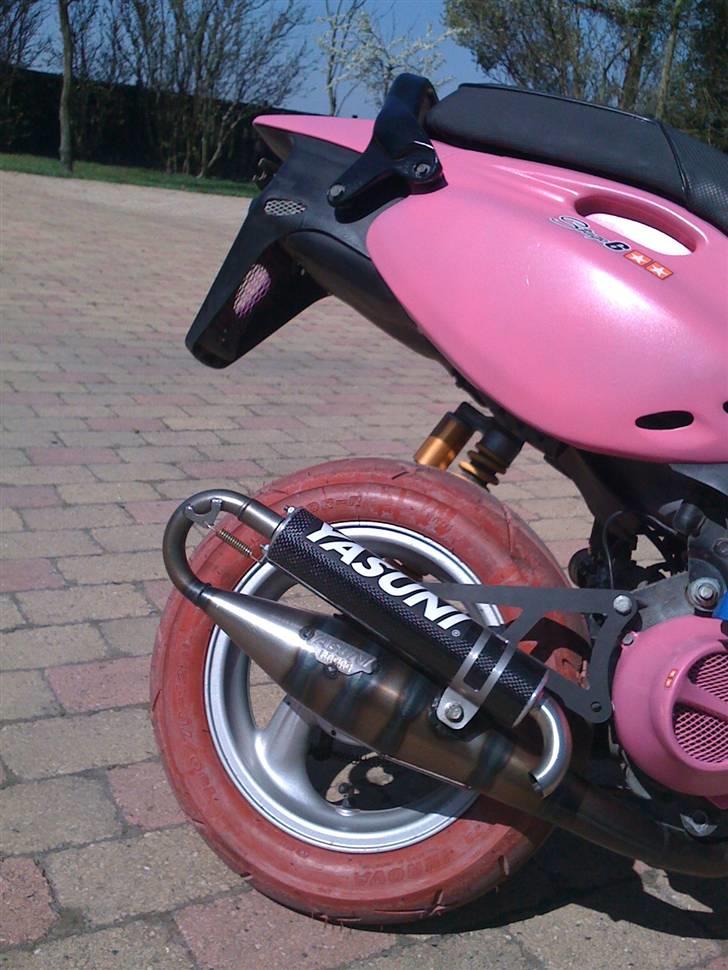 PGO PMX NAKED billede 2