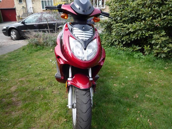 Texas Chilli 30 billede 1