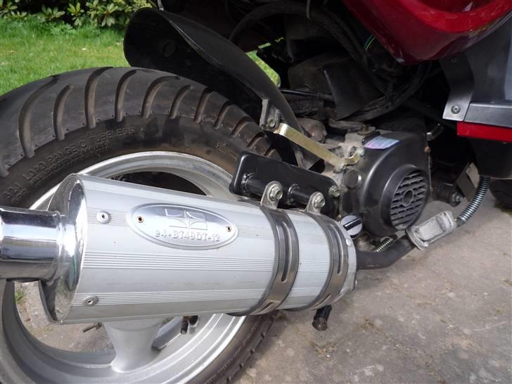 Texas Chilli 30 billede 2