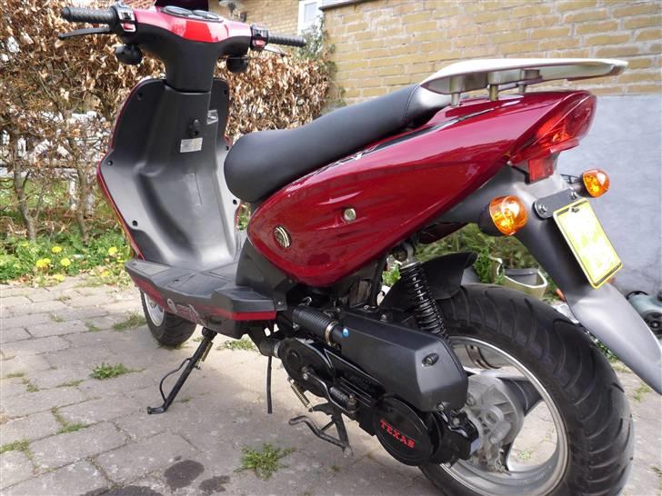 Texas Chilli 30 billede 3