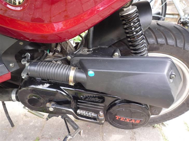 Texas Chilli 30 billede 6