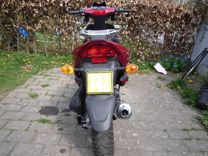 Texas Chilli 30 billede 7