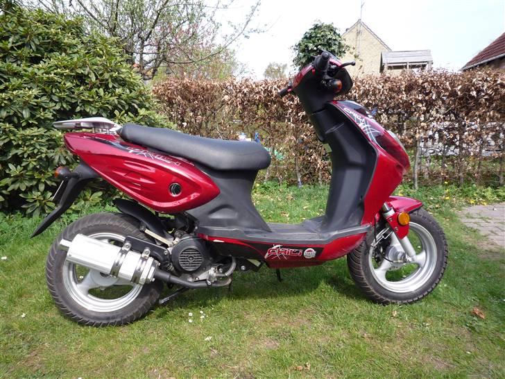 Texas Chilli 30 billede 9