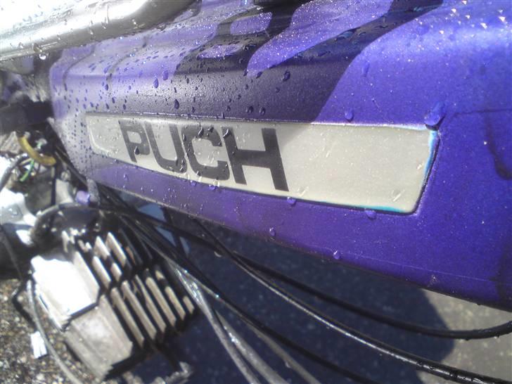 Puch maxi 2-gear billede 16