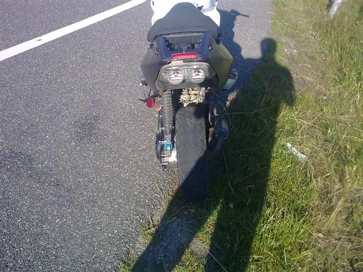 PGO Dr.big R.I.P billede 1