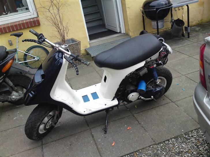 Piaggio typhoon TIL SALG billede 2