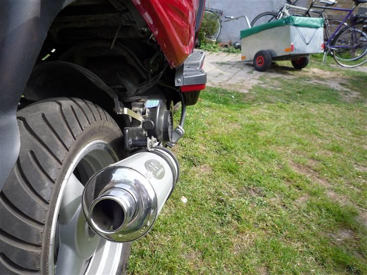 Texas Chilli 30 billede 13