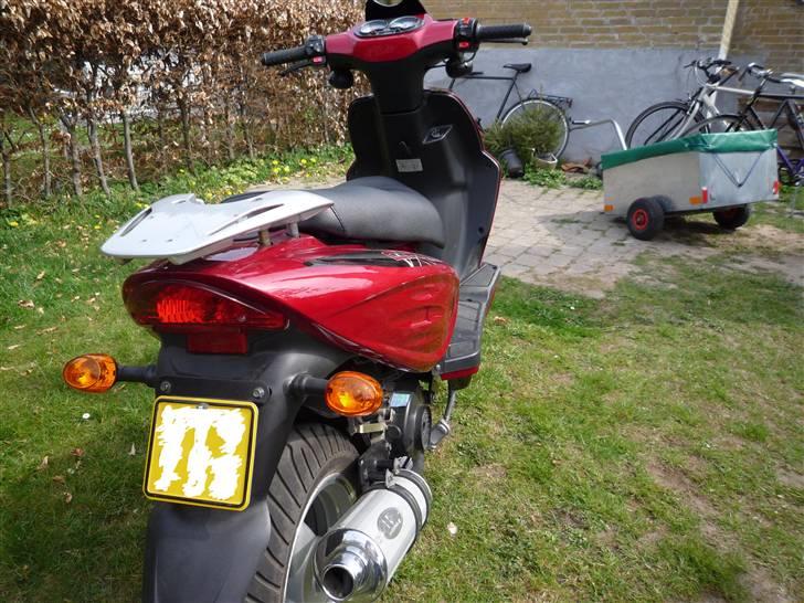 Texas Chilli 30 billede 14