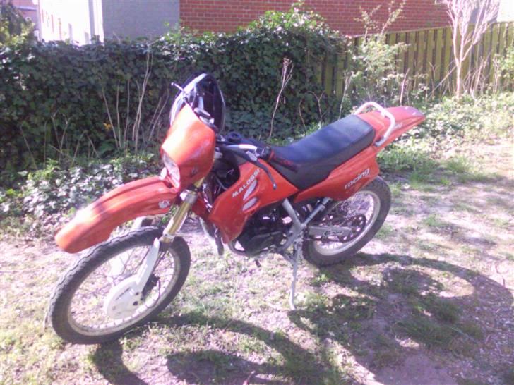 Suzuki Smx billede 2