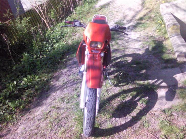 Suzuki Smx billede 6