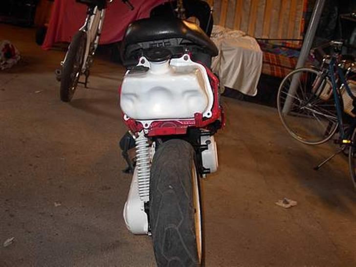 Adly Cat 50 (Byttet Til Ciao) billede 3