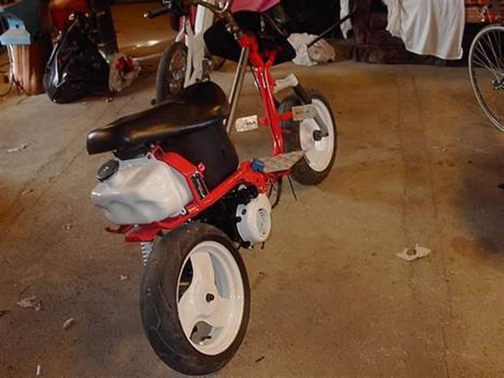 Adly Cat 50 (Byttet Til Ciao) billede 4