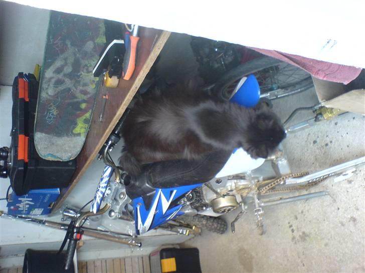 MiniBike Orion - Den er da lidt dejlig? ** NÅR DEN FÅR DÆK PÅ! ** billede 5