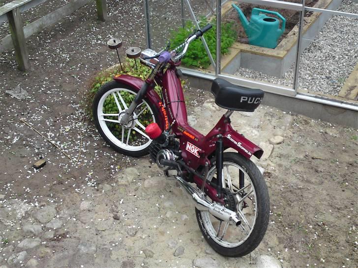 Puch Maxi KL 2 Gears 75ccm billede 6