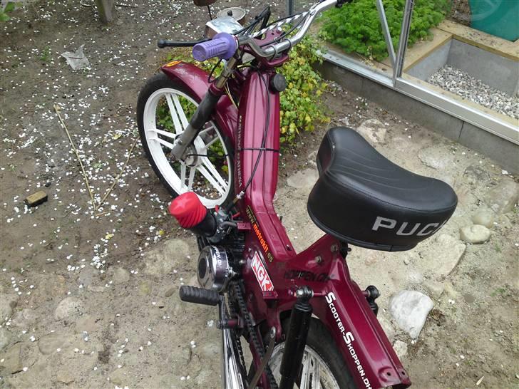 Puch Maxi KL 2 Gears 75ccm billede 7