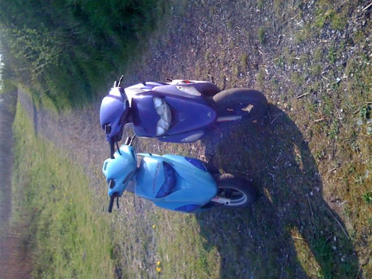 Honda SFX billede 13