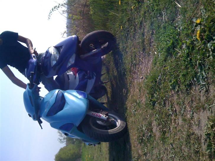 Honda SFX billede 16