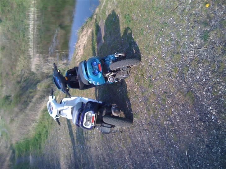 Honda SFX billede 17