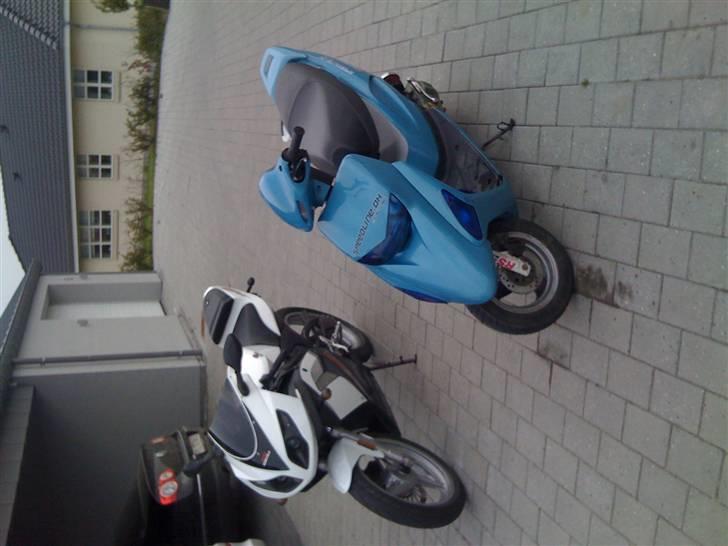 Honda SFX billede 18