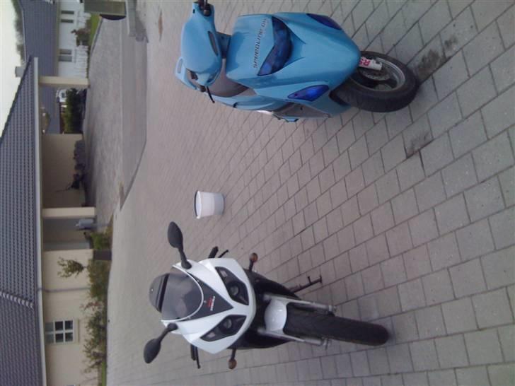 Honda SFX billede 19