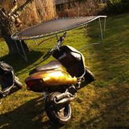 Kreidler easy rider