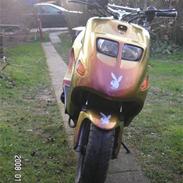 Kreidler easy rider