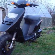 Piaggio Typhoon HH racing-Edition